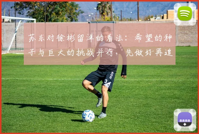 苏东对徐彬留洋的看法：希望的种子与巨大的挑战并存，先做好再追求完美