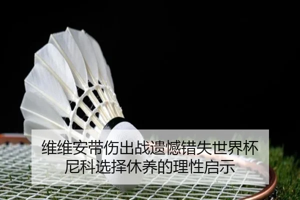 维维安带伤出战遗憾错失世界杯 尼科选择休养的理性启示